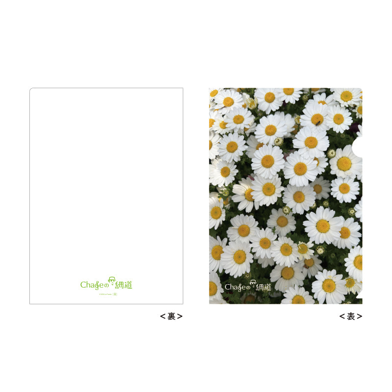 Chageのずっと細道 クリアファイルセット – Chage OFFICIAL